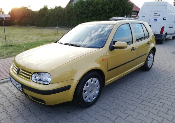 volkswagen golf dębno Volkswagen Golf cena 5900 przebieg: 137000, rok produkcji 1999 z Dębno